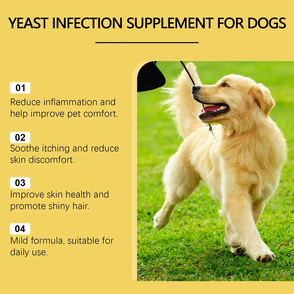 Pet Skin Care Serum