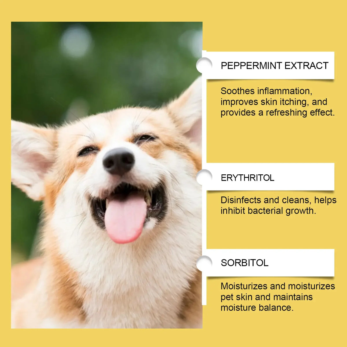 Pet Skin Care Serum