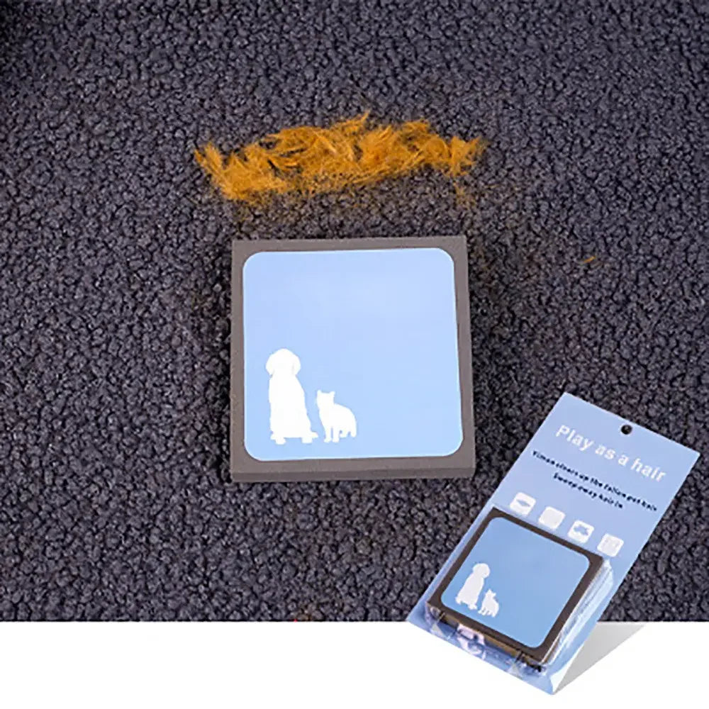 Pet Hair Cleaning Block
