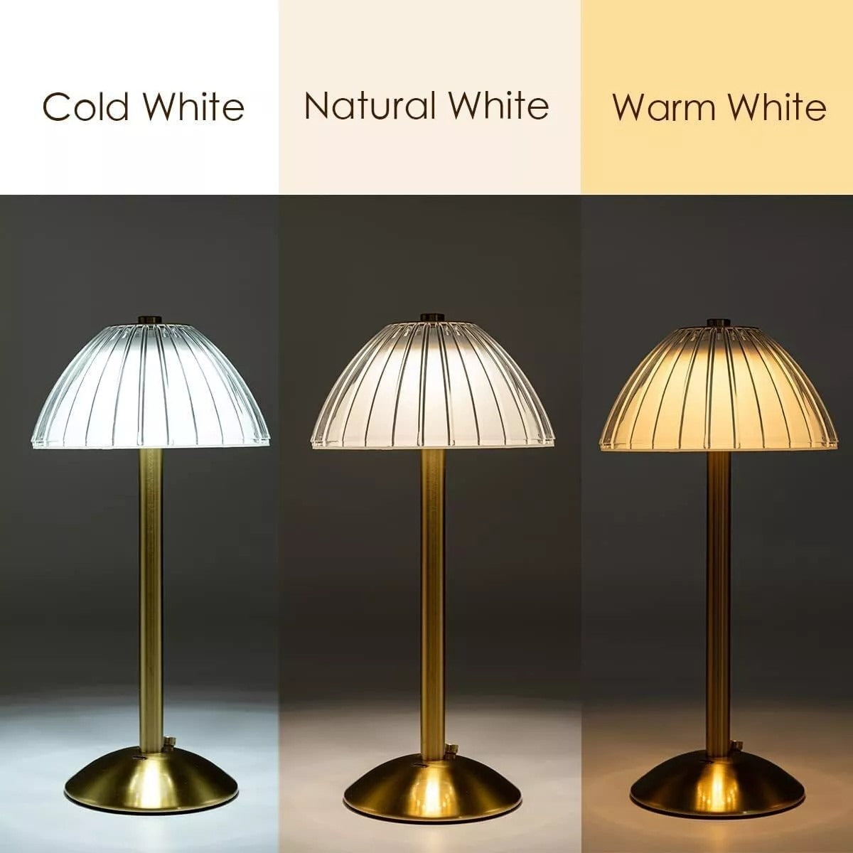 Cordless Dimmable USB Table Lamp